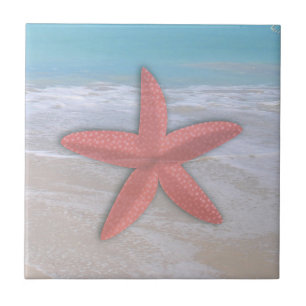 De Cerâmica Azulejo Estrela-do-Mar na Praia Costa