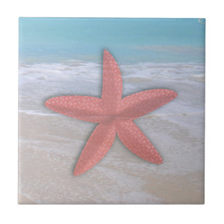 De Cerâmica Azulejo Estrela-do-Mar na Praia Costa