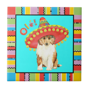 De Cerâmica Azulejo Fiesta Collie