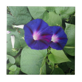 De Cerâmica Azulejo floral