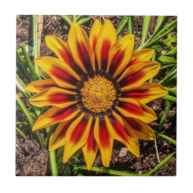 De Cerâmica Azulejo Floral 1 (Frente)