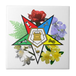 De Cerâmica Azulejo floral da estrela oriental