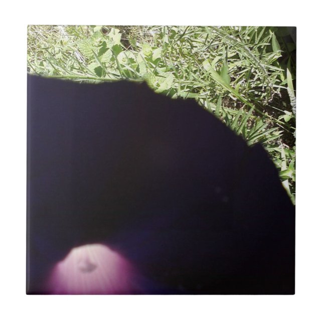 De Cerâmica Azulejo floral da foto (Frente)