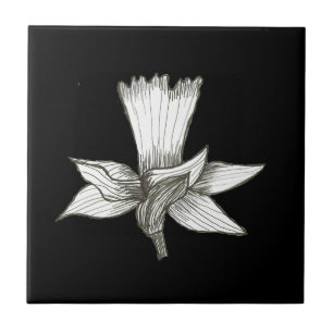 De Cerâmica Azulejo Floral Daffodil