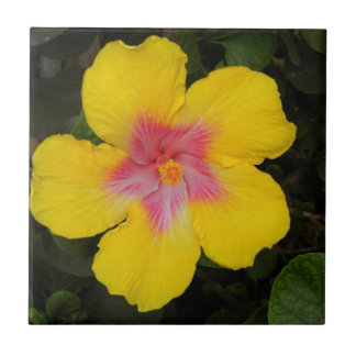 De Cerâmica Azulejo floral Havaí do hibiscus amarelo tropical