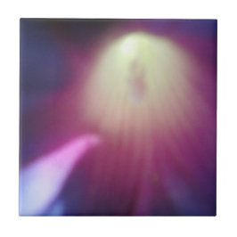 De Cerâmica Azulejo Floral Rosa-Púrpura