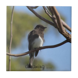 De Cerâmica Azulejo - Flycatcher