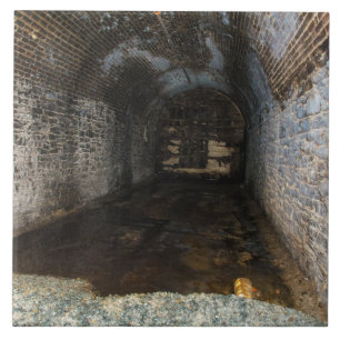 DE CERÂMICA  AZULEJO FOTOGRÁFICO SUBTERRÂNEO BAIXO