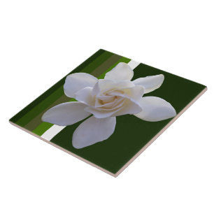 De Cerâmica Azulejo - Gardenia em listras