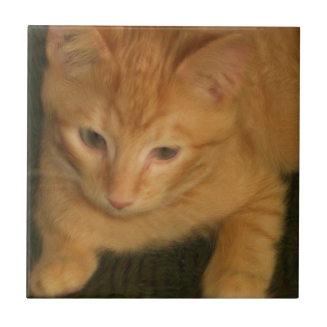 De Cerâmica Azulejo gatinho (Frente)