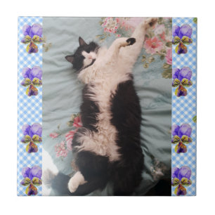 De Cerâmica Azulejo Gato Tuxedo Dormindo Gatos Engraçados Danç
