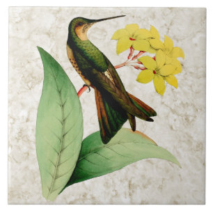 De Cerâmica Azulejo gigante do colibri