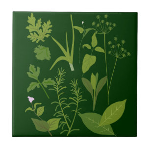 De Cerâmica Azulejo Herbs Kitchen