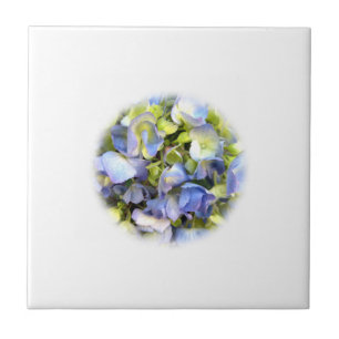 De Cerâmica Azulejo Hydrangea