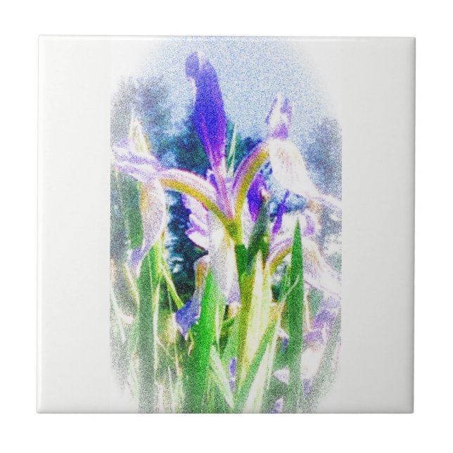De Cerâmica Azulejo Iris desbotado (Frente)