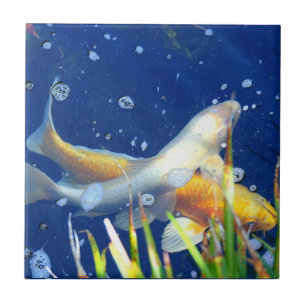 De Cerâmica azulejo japonês da lagoa do koi