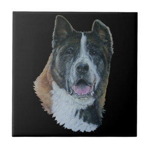 De Cerâmica Azulejo japonês/do americano akita do cão do