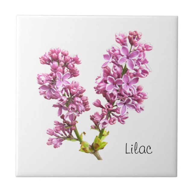 De Cerâmica Azulejo - Lilac Blossomas (Frente)