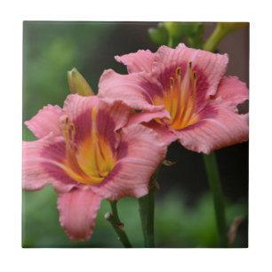De Cerâmica Azulejo Lily Rosa