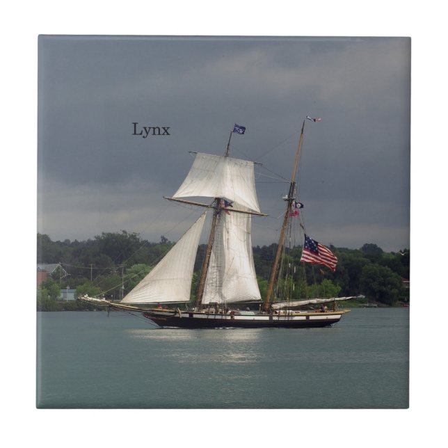 De Cerâmica Azulejo Lynx (Frente)