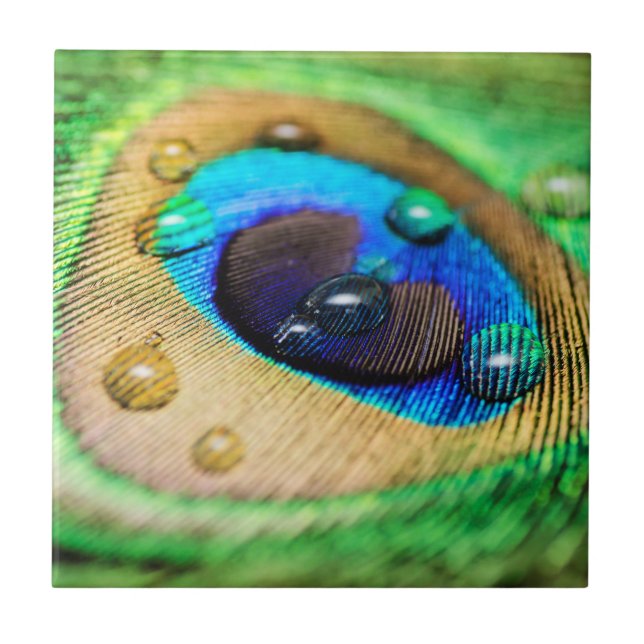De Cerâmica Azulejo macro abstrato das gotas da pena do (Frente)