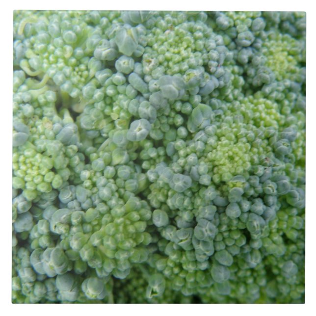 De Cerâmica Azulejo Macro Broccoli (Frente)
