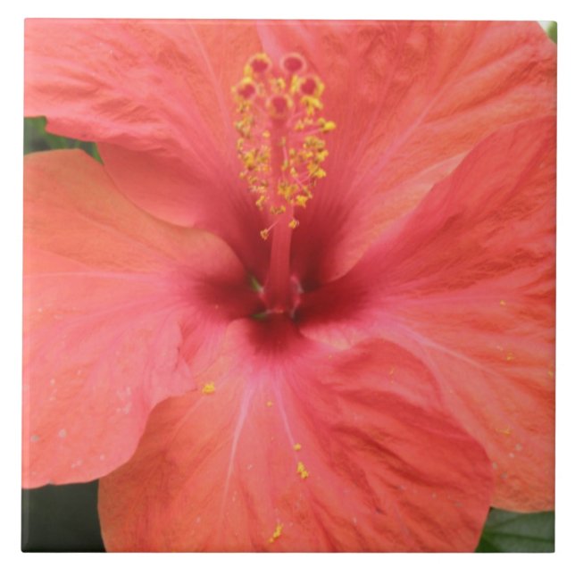 De Cerâmica Azulejo Macro Flor Laranja Hibiscus (Frente)