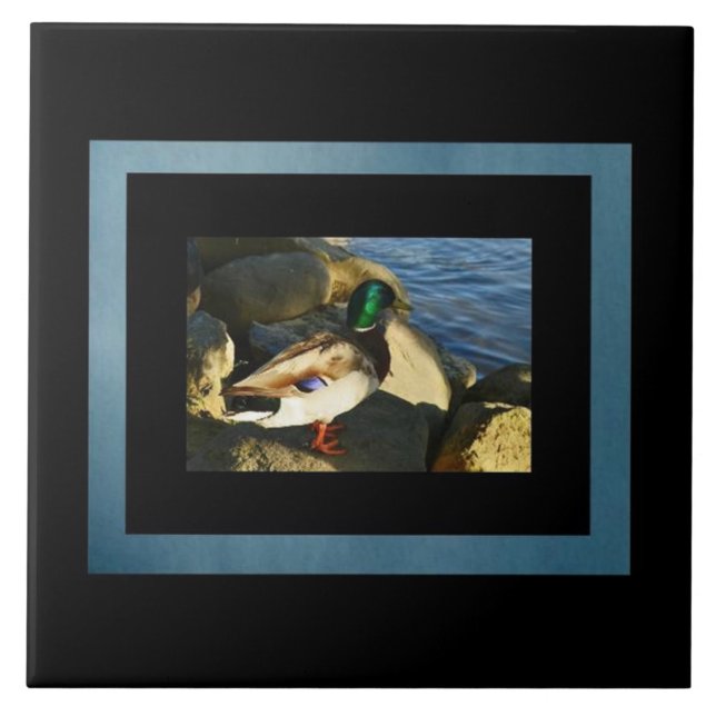 De Cerâmica Azulejo Mallard Duck (Frente)