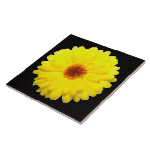 De Cerâmica Azulejo Marigold Amarelo fluorescente