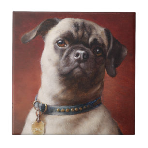 De Cerâmica Azulejo Mops