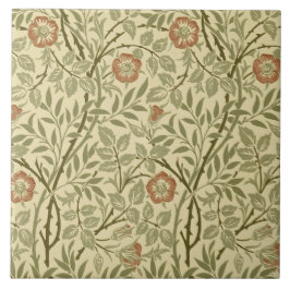De Cerâmica Azulejo Morris/Deale Arts & Artesanatos Briar