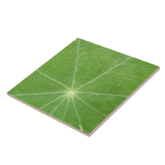 De Cerâmica Azulejo Nasturtium Leaf (Lateral)