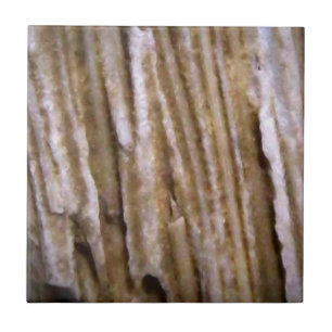 De Cerâmica Azulejo ocidental rústico do desenhista da madeir