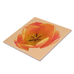 De Cerâmica Azulejo Orange Tulip