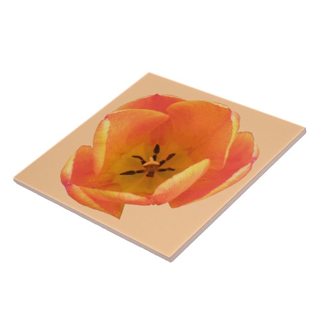 De Cerâmica Azulejo Orange Tulip (Lateral)