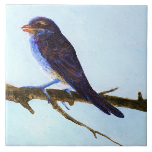 De Cerâmica Azulejo Pássaro Azul da Primavera