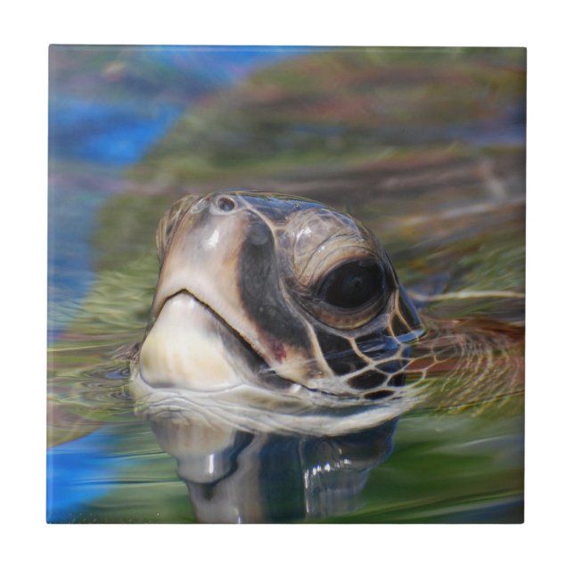 De Cerâmica Azulejo - personalizado (Frente)