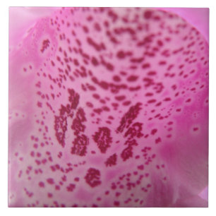 De Cerâmica Azulejo Petal Rosa
