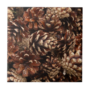 De Cerâmica Azulejo Pine Cones