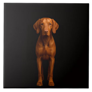 De Cerâmica Azulejo Preto 4 Luxe com Cachorro Vizsla Ágil