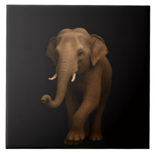 De Cerâmica Azulejo Preto 4 Luxe com Elefante Indiano Gentil