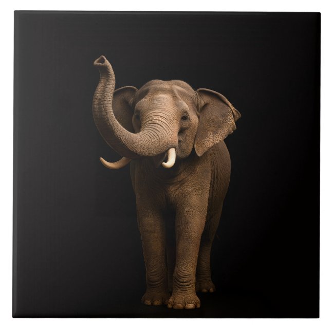 De Cerâmica Azulejo Preto 4 Luxe com Elefante Poderoso (Frente)