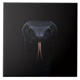 De Cerâmica Azulejo preto 4 Luxe com Elegância Black Mamba