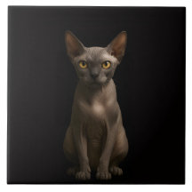Azulejo Preto 4 Luxe com Gato Sphynx