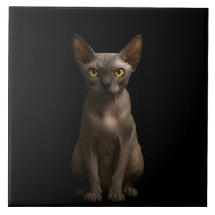 De Cerâmica Azulejo Preto 4 Luxe com Gato Sphynx