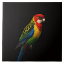 Azulejo Preto 4 Luxe com Papagaio Rosella Oriental