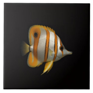 De Cerâmica Azulejo Preto 4 Luxe com Peixe-Butterfly do Recife