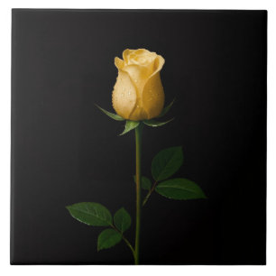 De Cerâmica Azulejo Preto 4 Luxe com Rosa Amarela Iluminada pe
