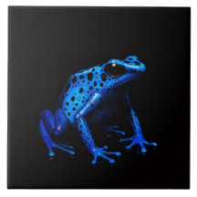 Azulejo preto 4 Luxe com Sapo elétrico azul