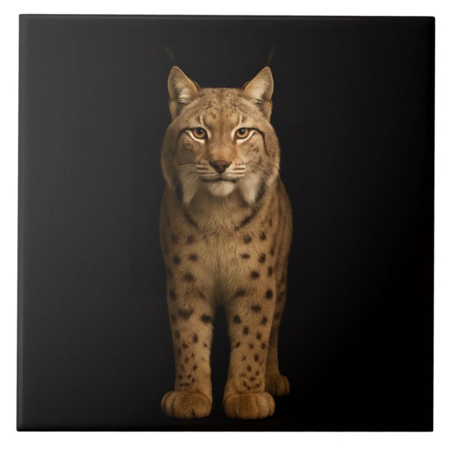 De Cerâmica Azulejo Preto 4 Luxe com Silent Lynx (Frente)